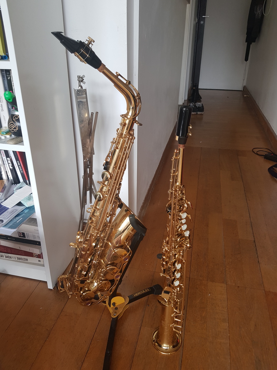 harrypiprazole's music gear photo