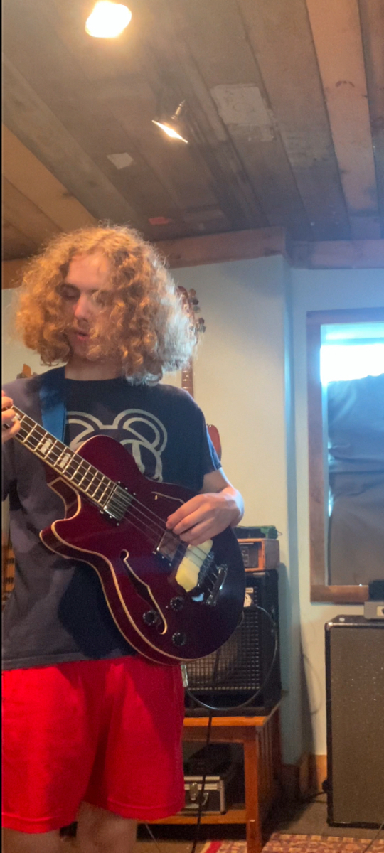 Music Gear Setup by leoferriswheel featuring D'Angelico Premier Long-Scale Hollow Body Bass