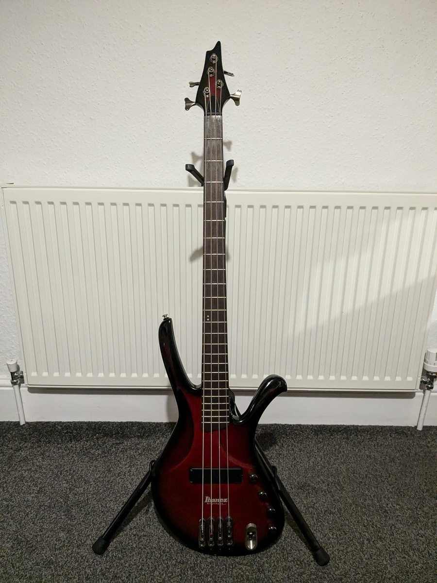Music Gear Setup by willgullis featuring Ibanez Ergodyne EDA900