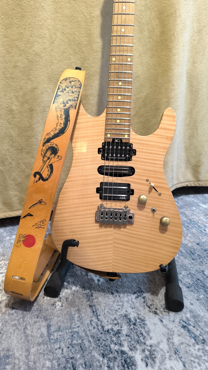 Music Gear Setup by simpleboxman featuring Harley Benton Fusion-II HSH Roasted