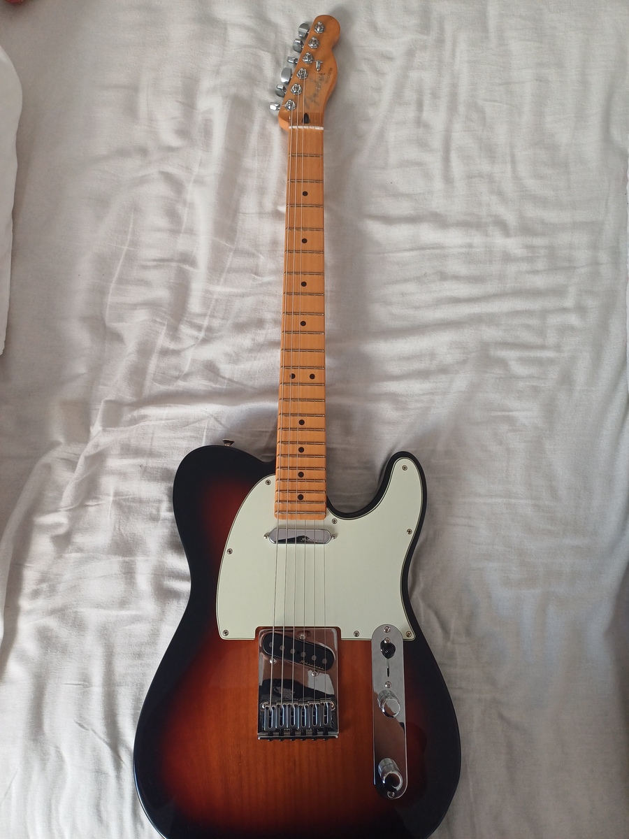 adamson's music gear photo