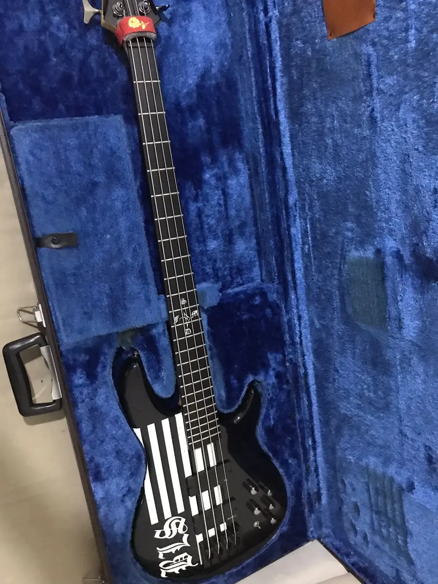 Music Gear Setup by yusufgurfidan featuring Schecter JD Deservio Bass BLS