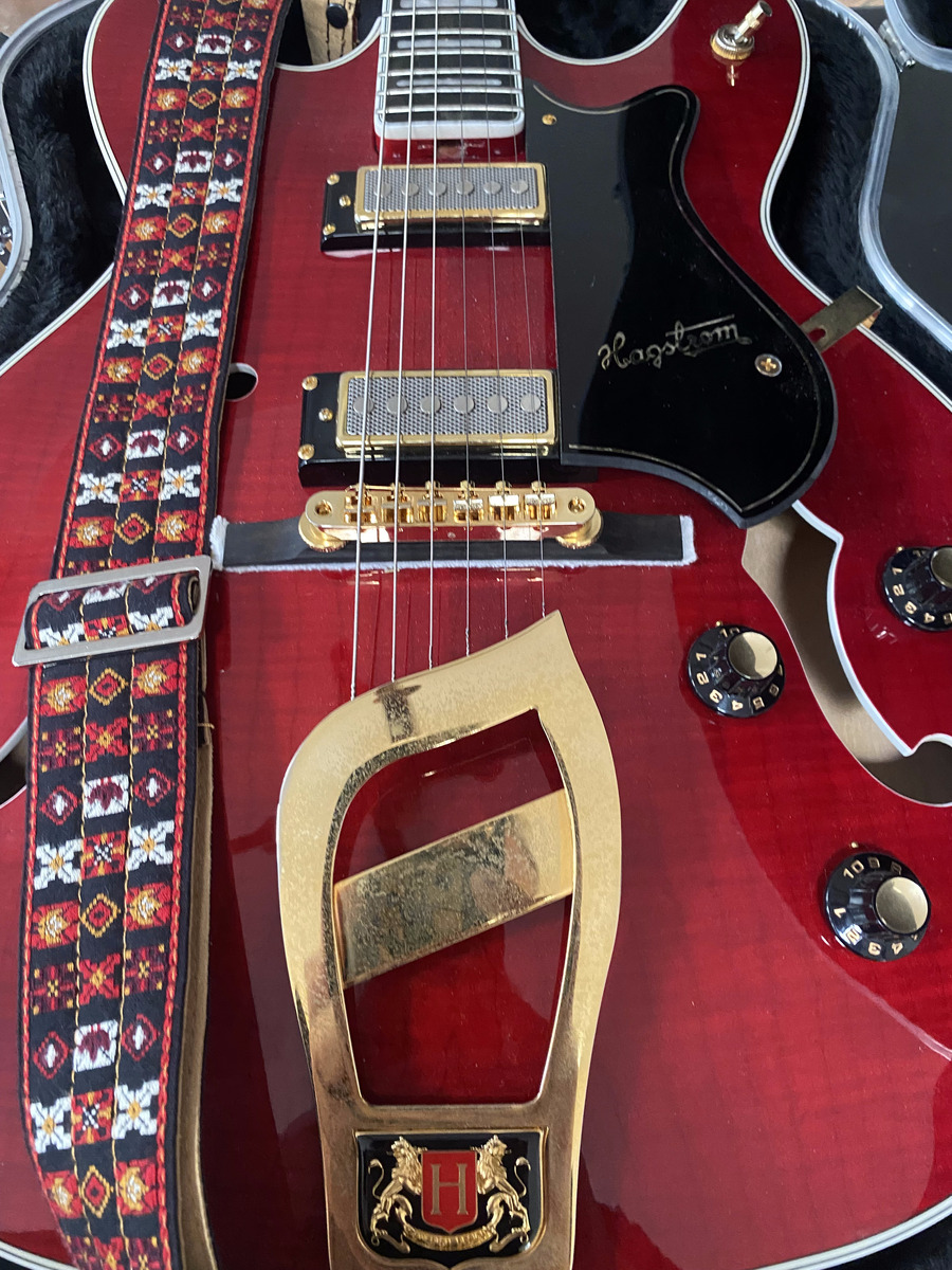 Music Gear Setup by ivan_soliton featuring Hagstrom '67 Viking II