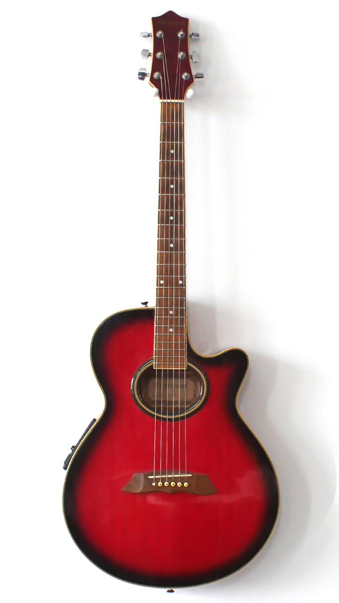 thelibraryisonfire's music gear photo