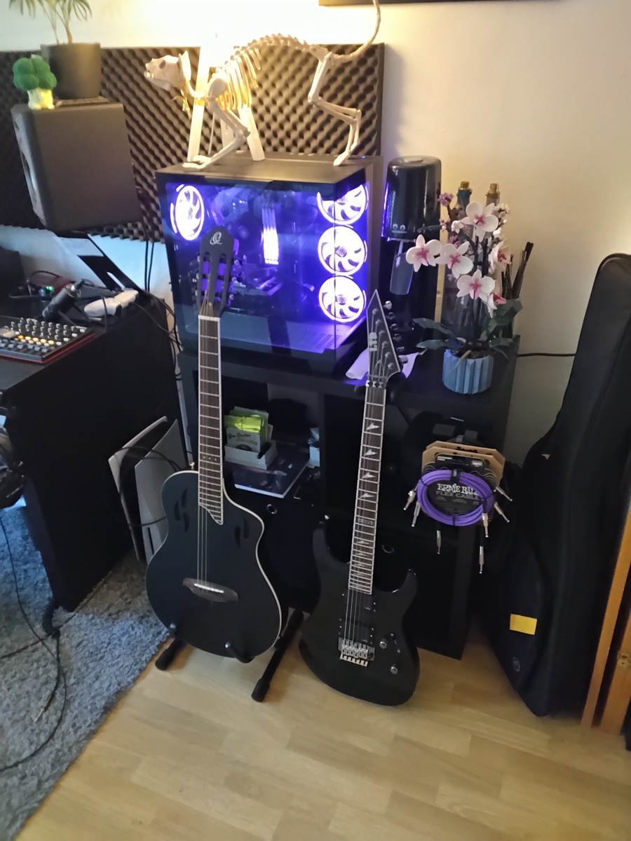 danielbiermann's music gear photo