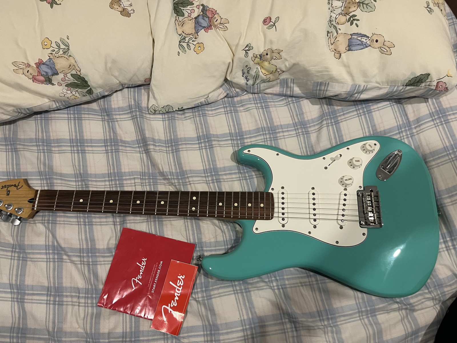 Music Gear Setup by tactiles featuring Fender Player Stratocaster