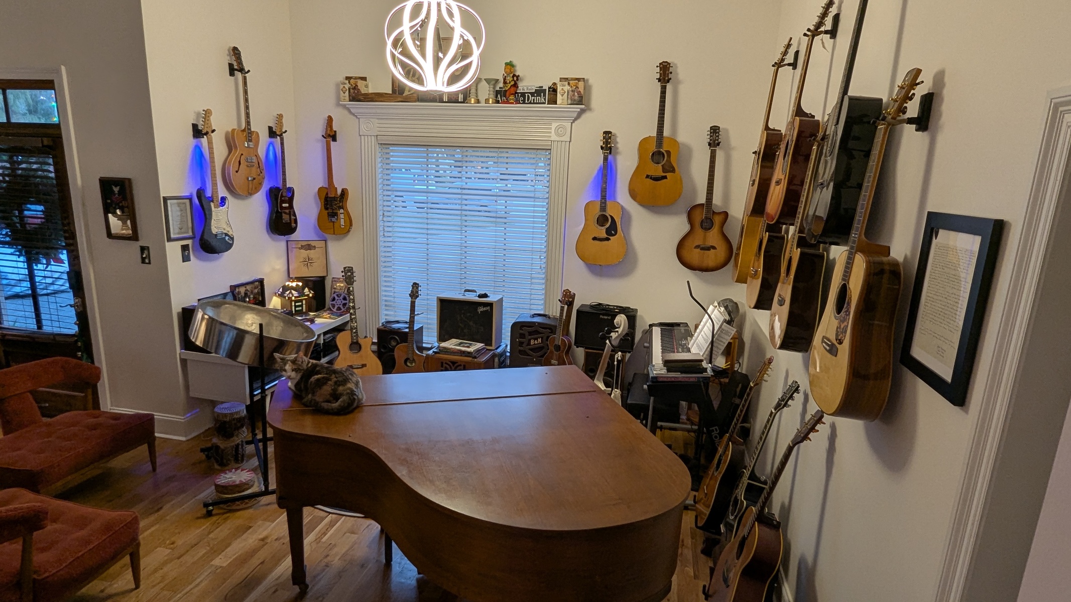 rain_jaudon's music gear photo