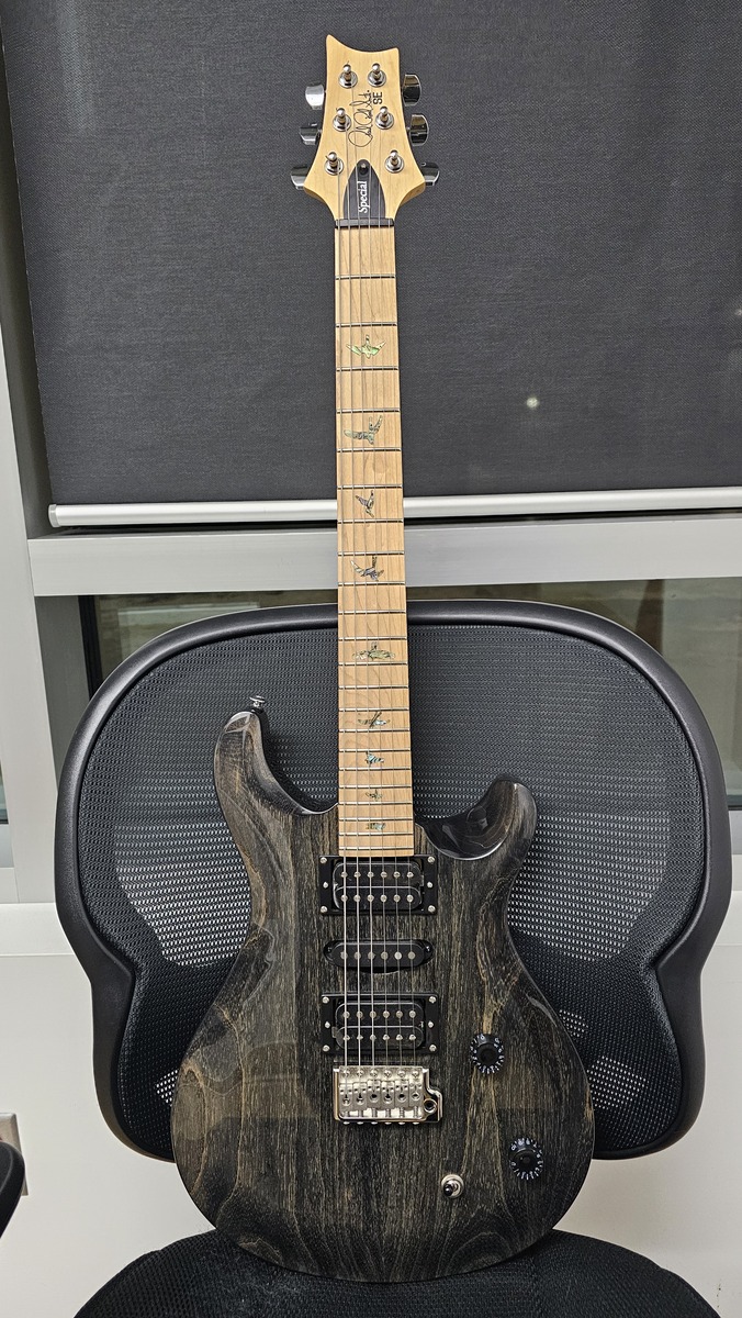 Music Gear Setup by cdnaxeman88 featuring PRS SE Swamp Ash Special Electric Guitar