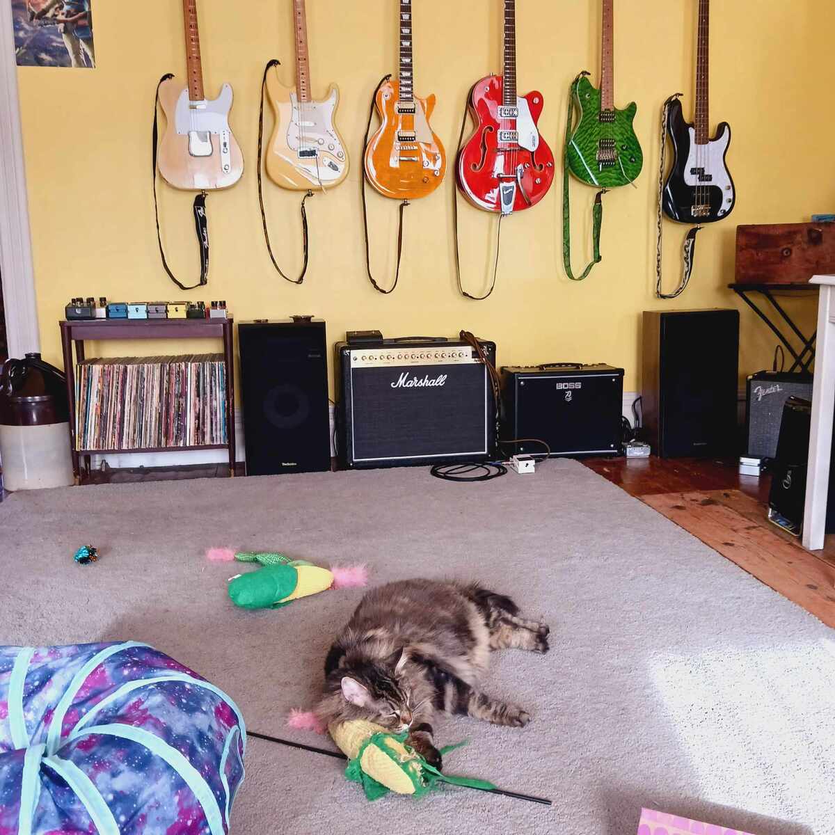 lynx3r's music gear photo