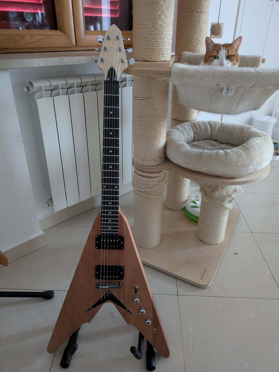 Music Gear Setup by lminiero featuring Harley Benton Electric Guitar Kit Victory