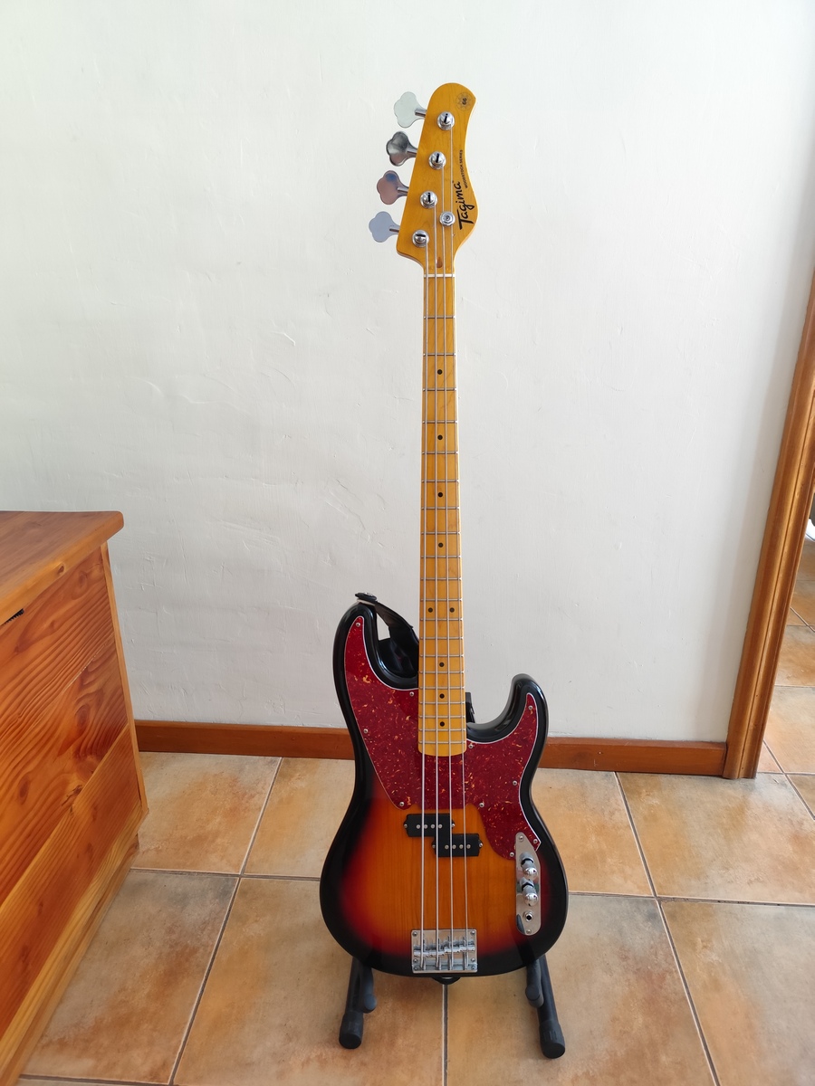 Music Gear Setup by catarockheart featuring Tagima TW-66