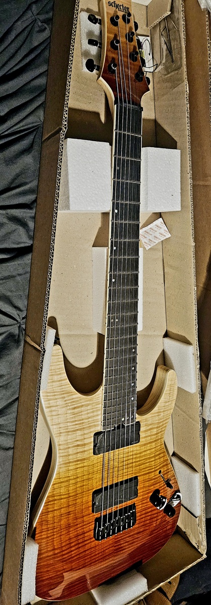 Music Gear Setup by ontheshouldersofgiants featuring Schecter C-7 SLS Elite