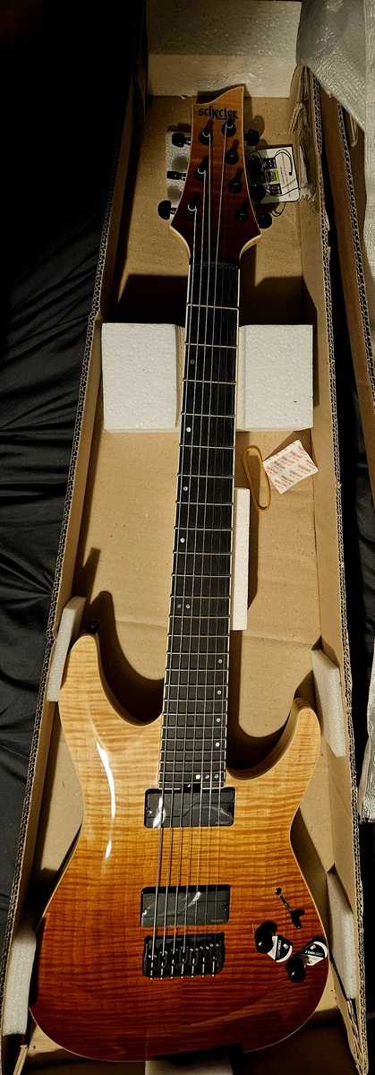 Music Gear Setup by ontheshouldersofgiants featuring Schecter C-7 SLS Elite