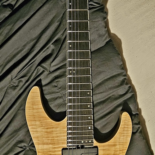 Photo of Schecter C-7 SLS Elite in a guitar and closeup