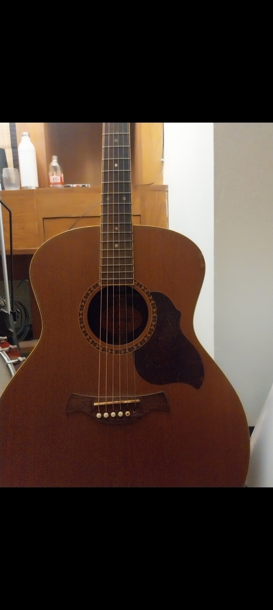 Music Gear Setup by silasmast featuring Crafter GA6 Acoustic Guitar