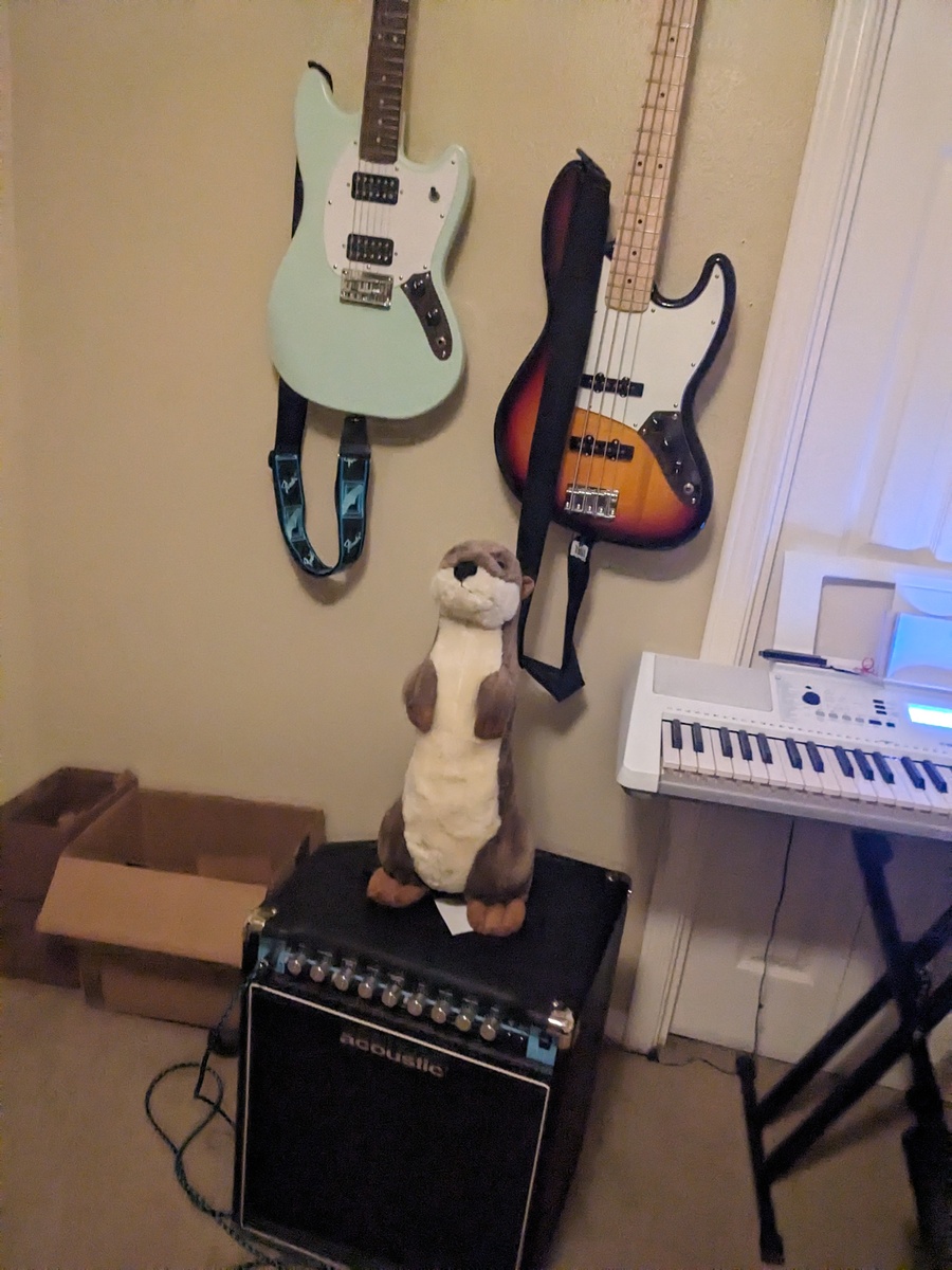 its_only_vampire_culture_'s music gear photo