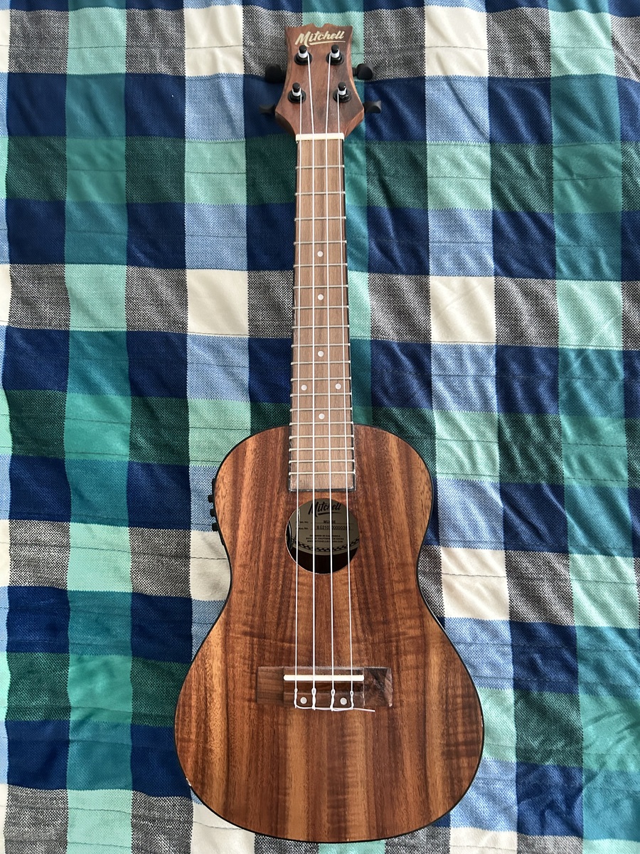 Studio Setup by zack_jade featuring Mitchell Mu60e Acoustic Electric Concert Ukulele