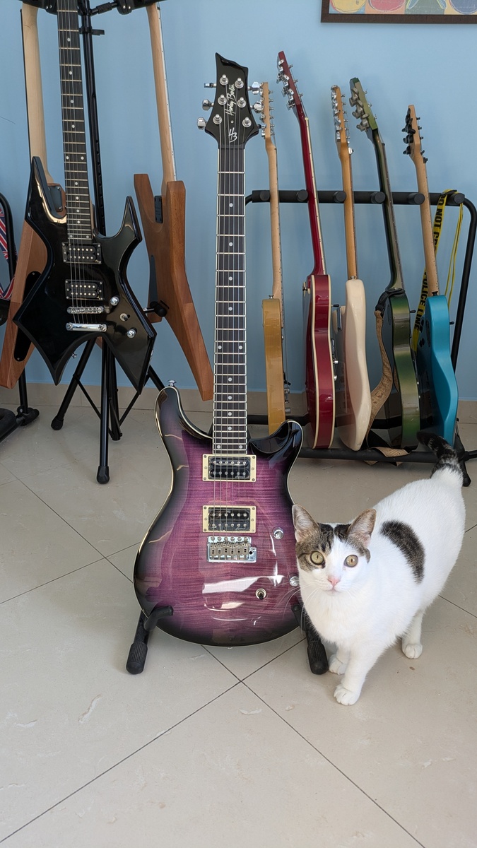 Music Gear Setup by lminiero featuring Harley Benton CST-24T