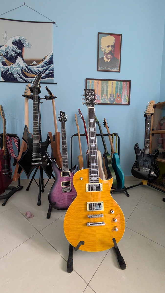 Music Gear Setup by lminiero featuring Harley Benton SC-Custom III
