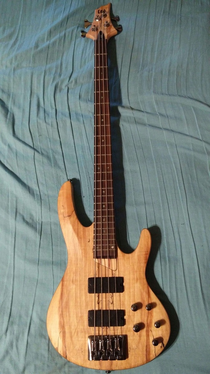 Music Gear Setup by snowshovelmusic featuring LTD B-204SM