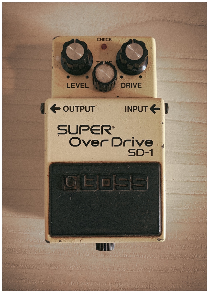 henriquetrevisan's music gear photo