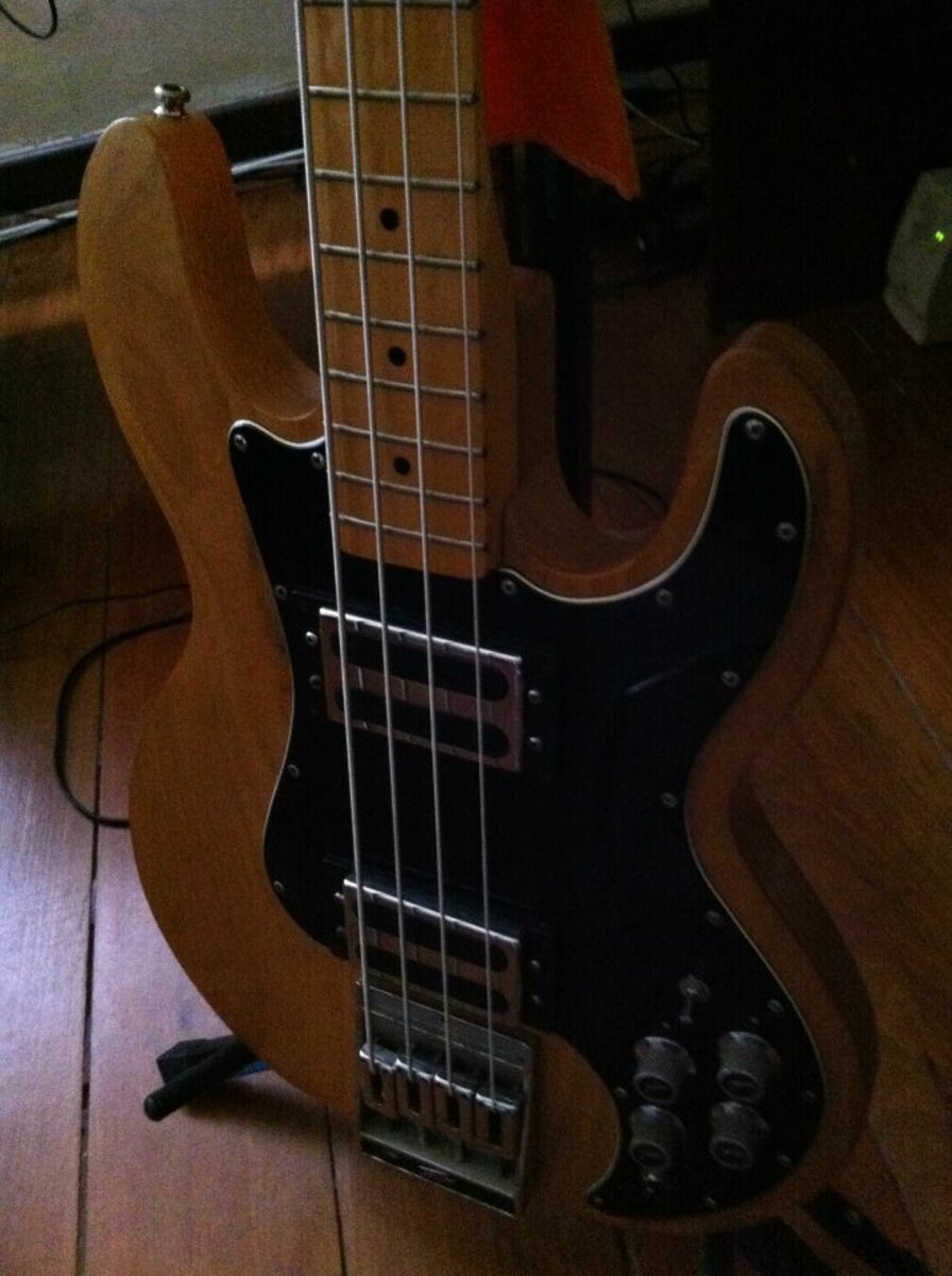 Music Gear Setup by luiz_fernando_borges featuring Peavey T-40