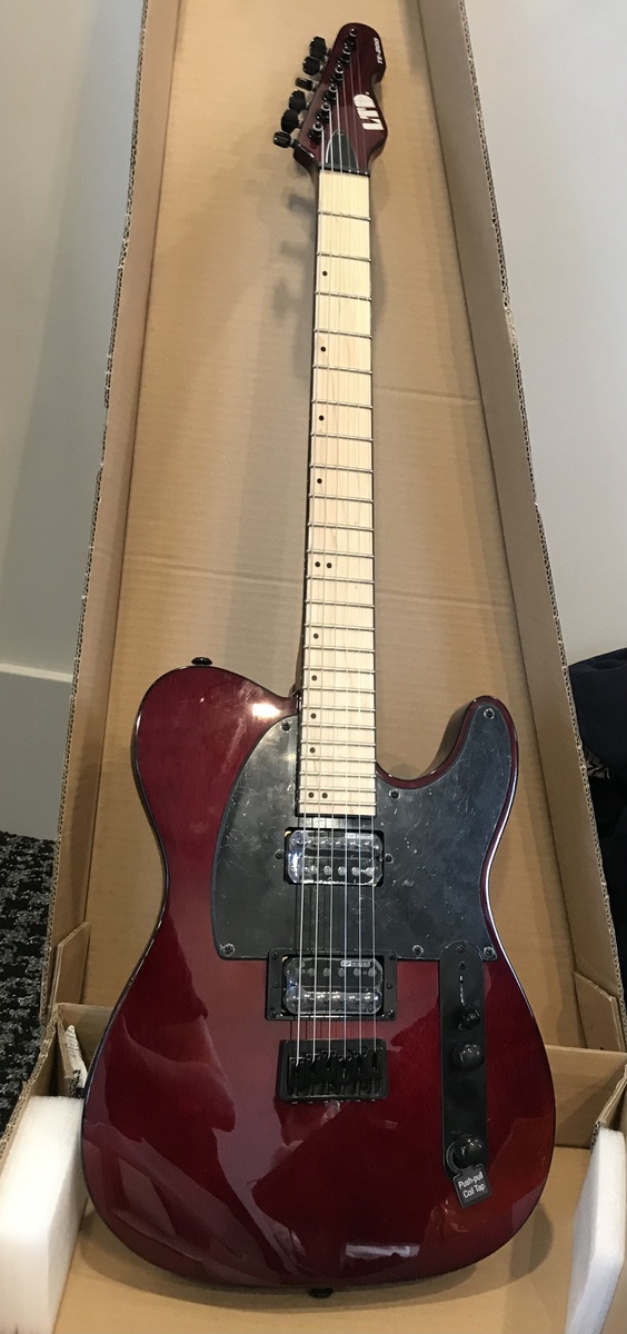 Music Gear Setup by hobie featuring ESP Guitars LTD TE-200
