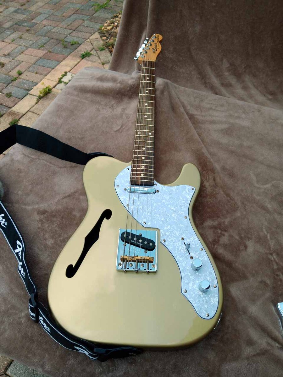 Music Gear Setup by jeremy_crockett featuring Squier Vintage Modified Telecaster Thinline