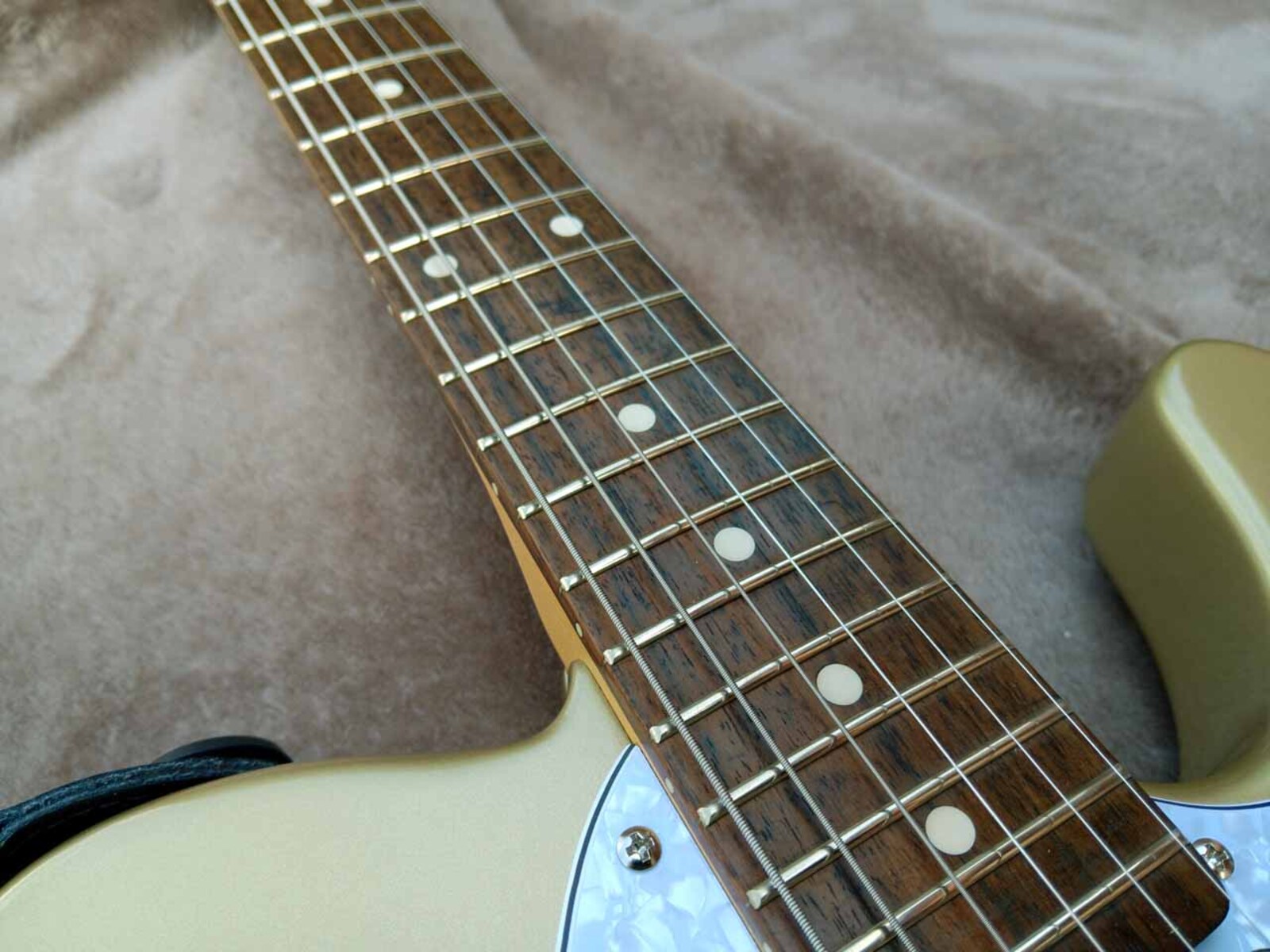 Music Gear Setup by jeremy_crockett featuring Squier Vintage Modified Telecaster Thinline