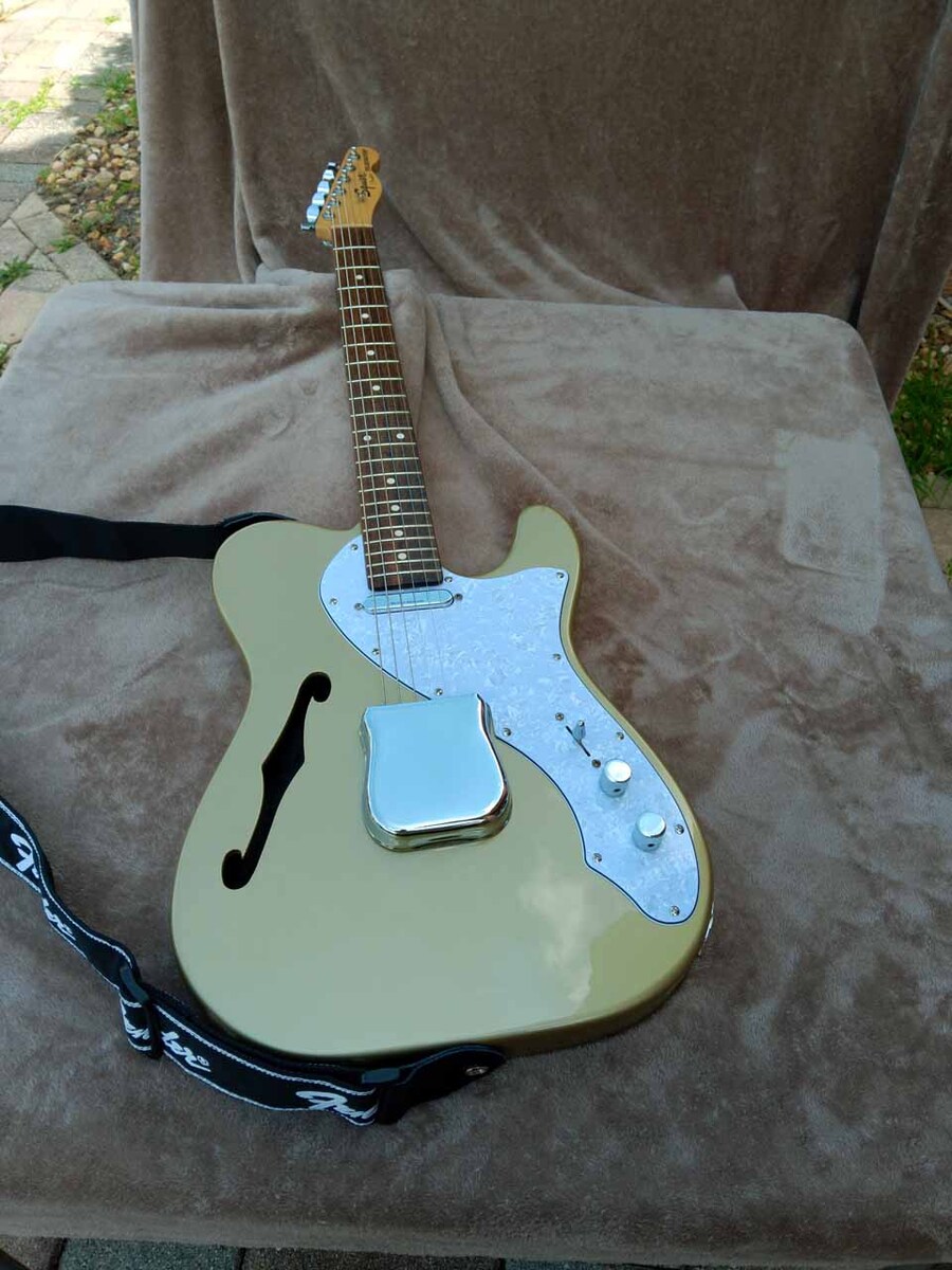 Music Gear Setup by jeremy_crockett featuring Squier Vintage Modified Telecaster Thinline