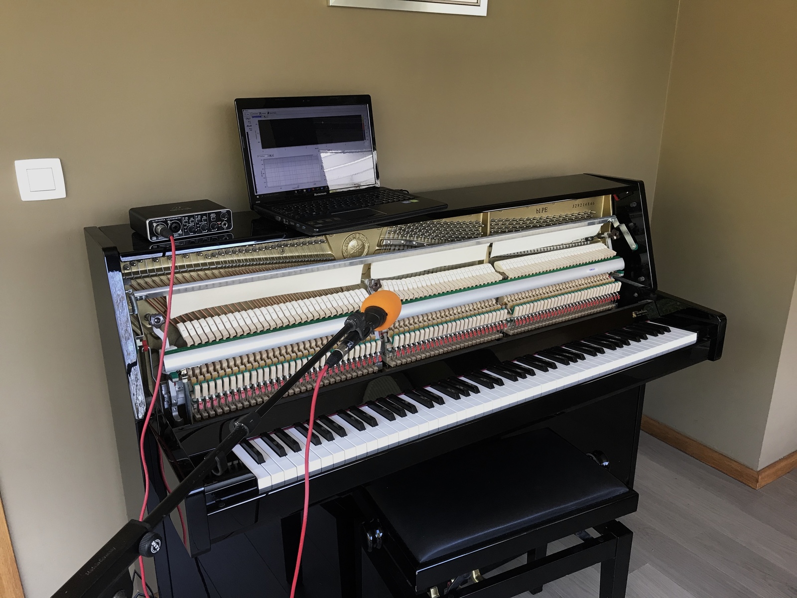 szpilman's music gear photo