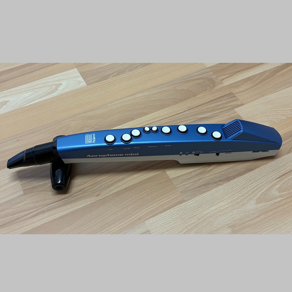 Music Gear Setup by michaelschach1 featuring Roland Aerophone mini AE-01