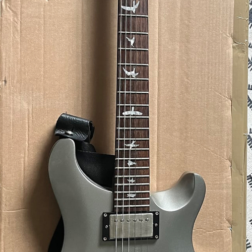 Photo of PRS SE Standard 22 in a guitar