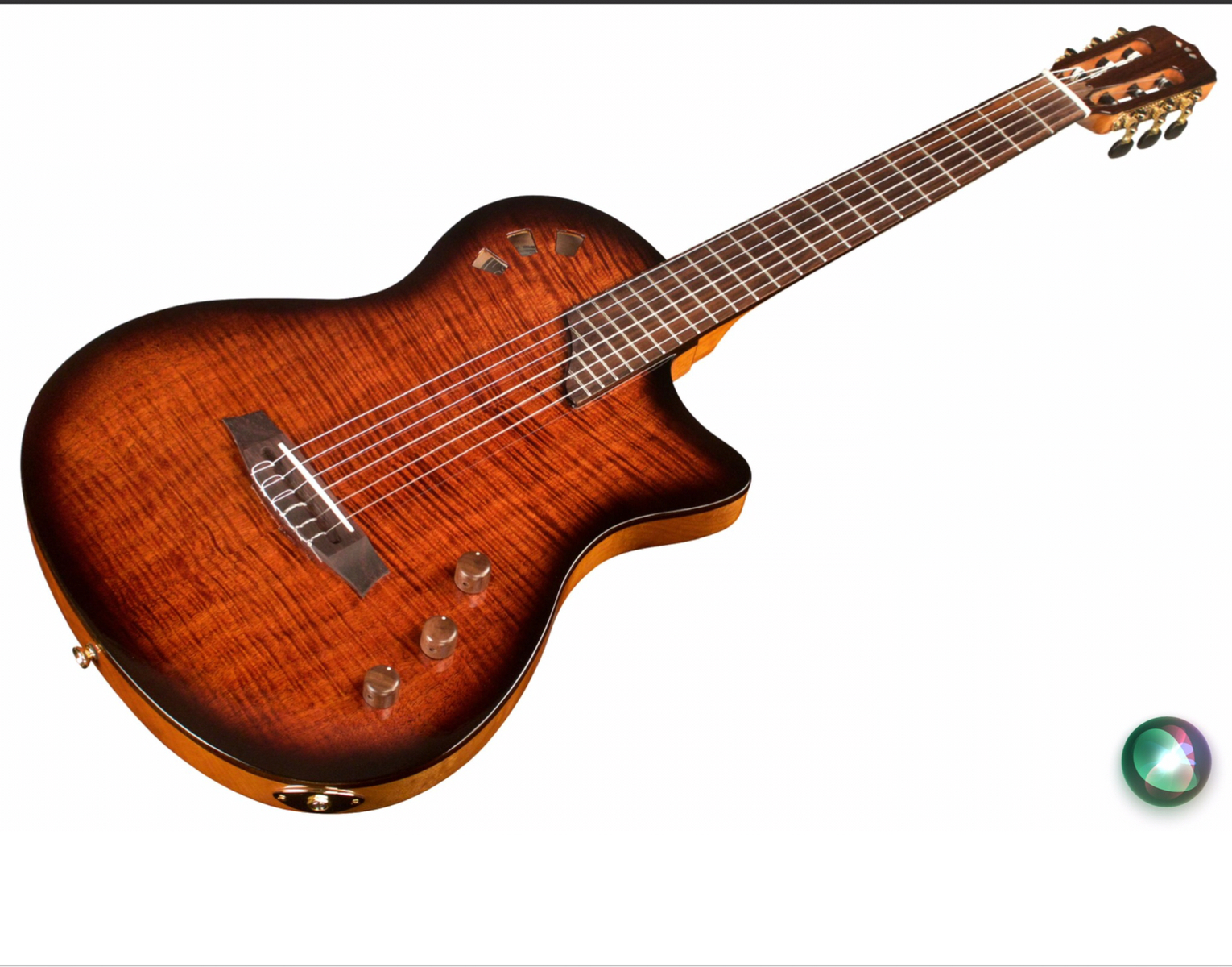 scott_romans's music gear photo