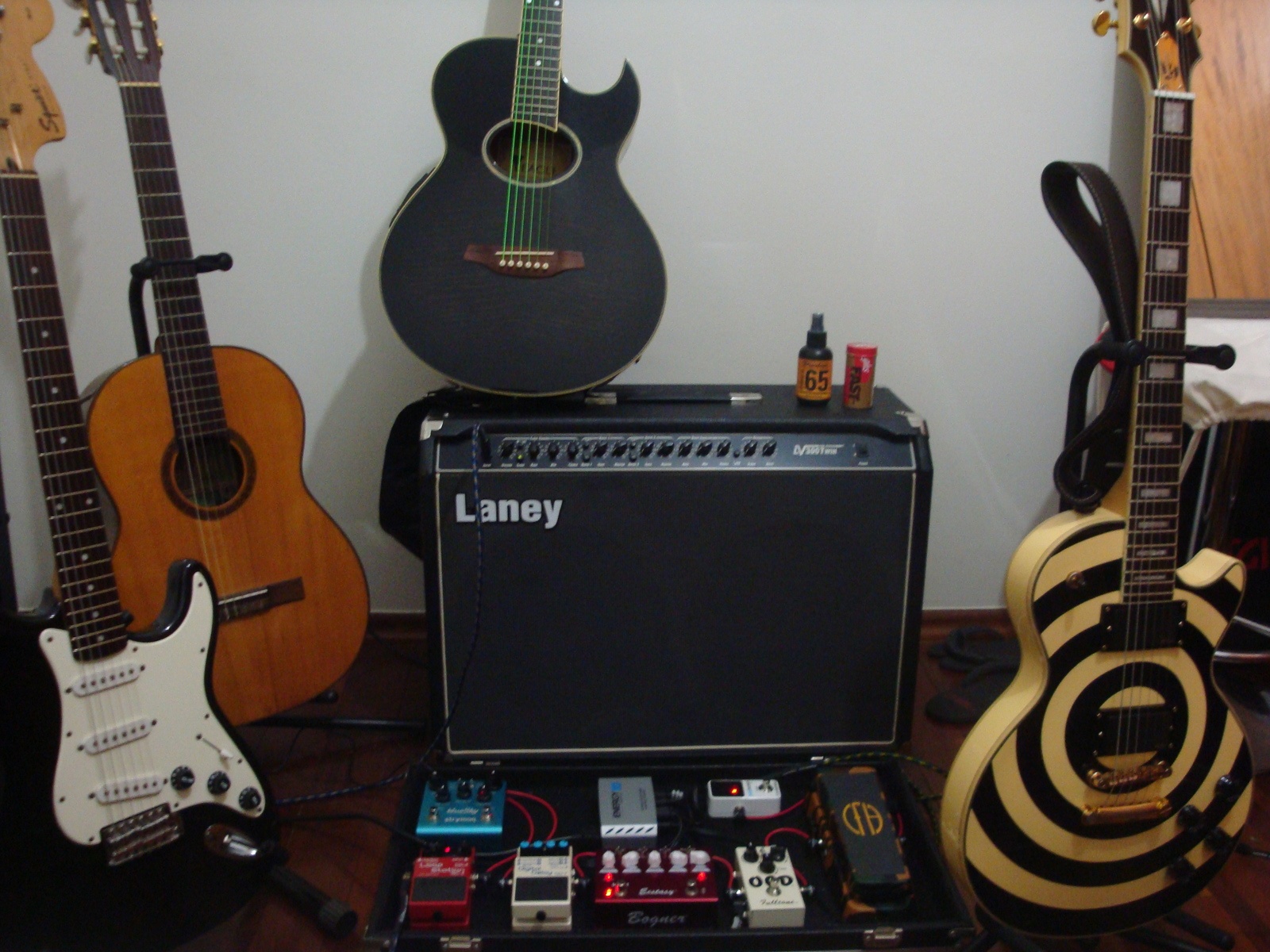 guilherme_surjan_passero's music gear photo