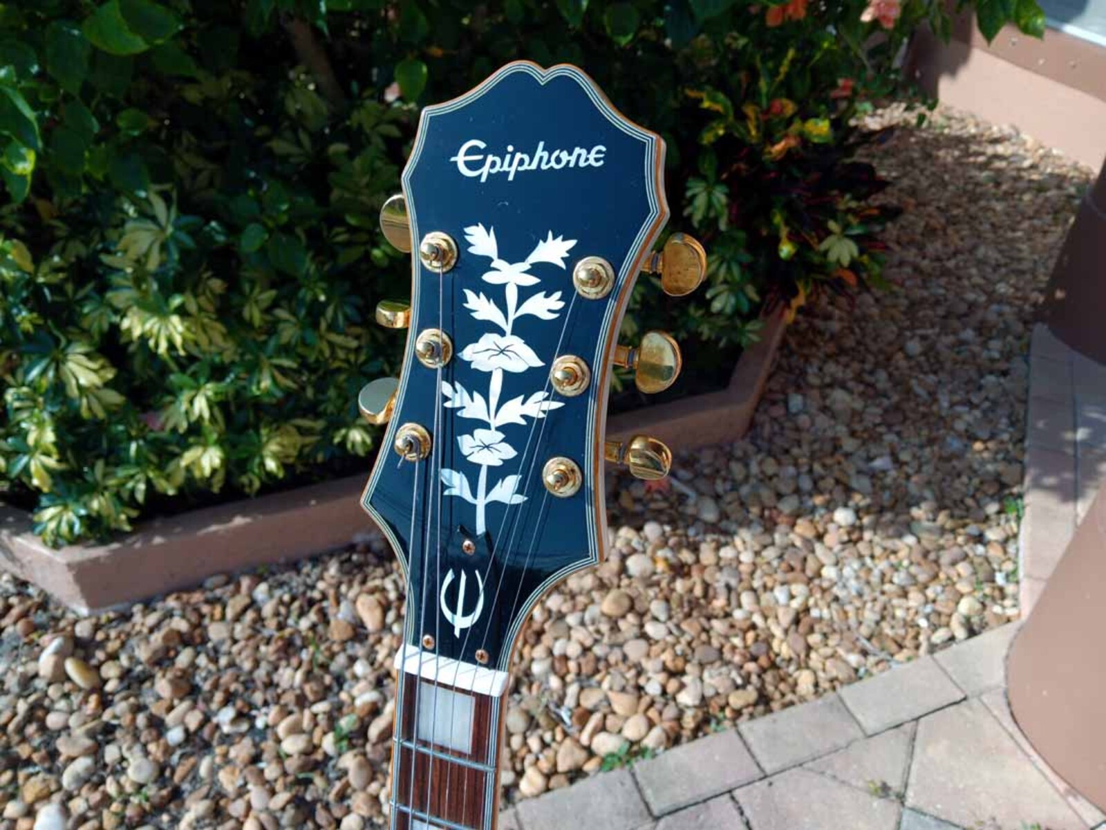 Music Gear Setup by jeremy_crockett featuring Epiphone Swingster Royale
