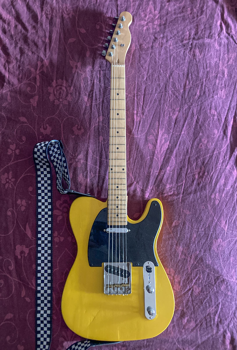 alecani's music gear photo