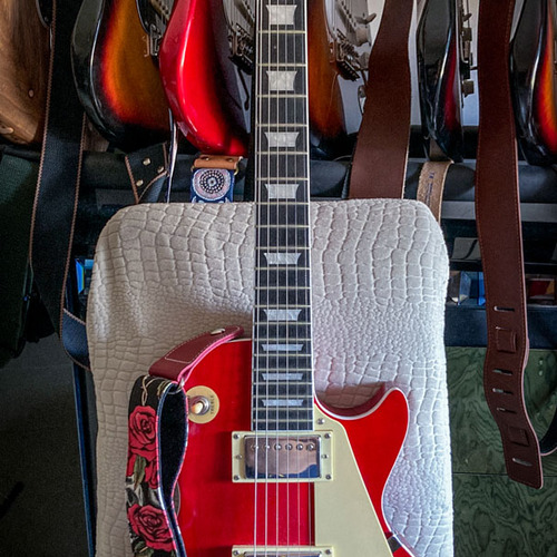 alecani's gear photo