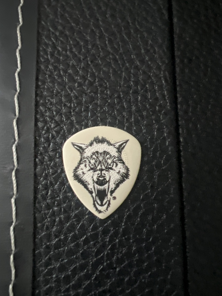 Music Gear Setup by owenwatson featuring Dunlop James Hetfield White Fang Signature Flow Pick