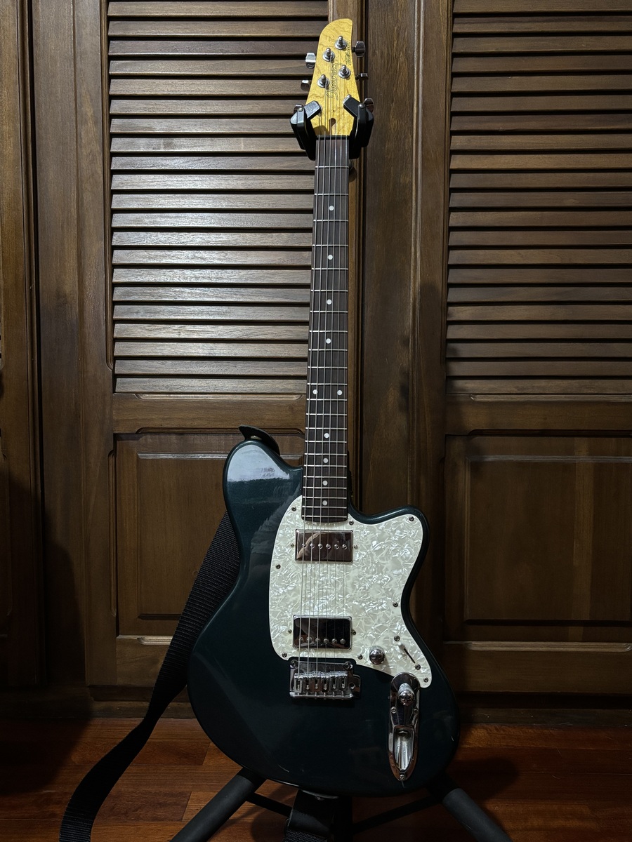 Music Gear Setup by mintu featuring Ibanez TC420