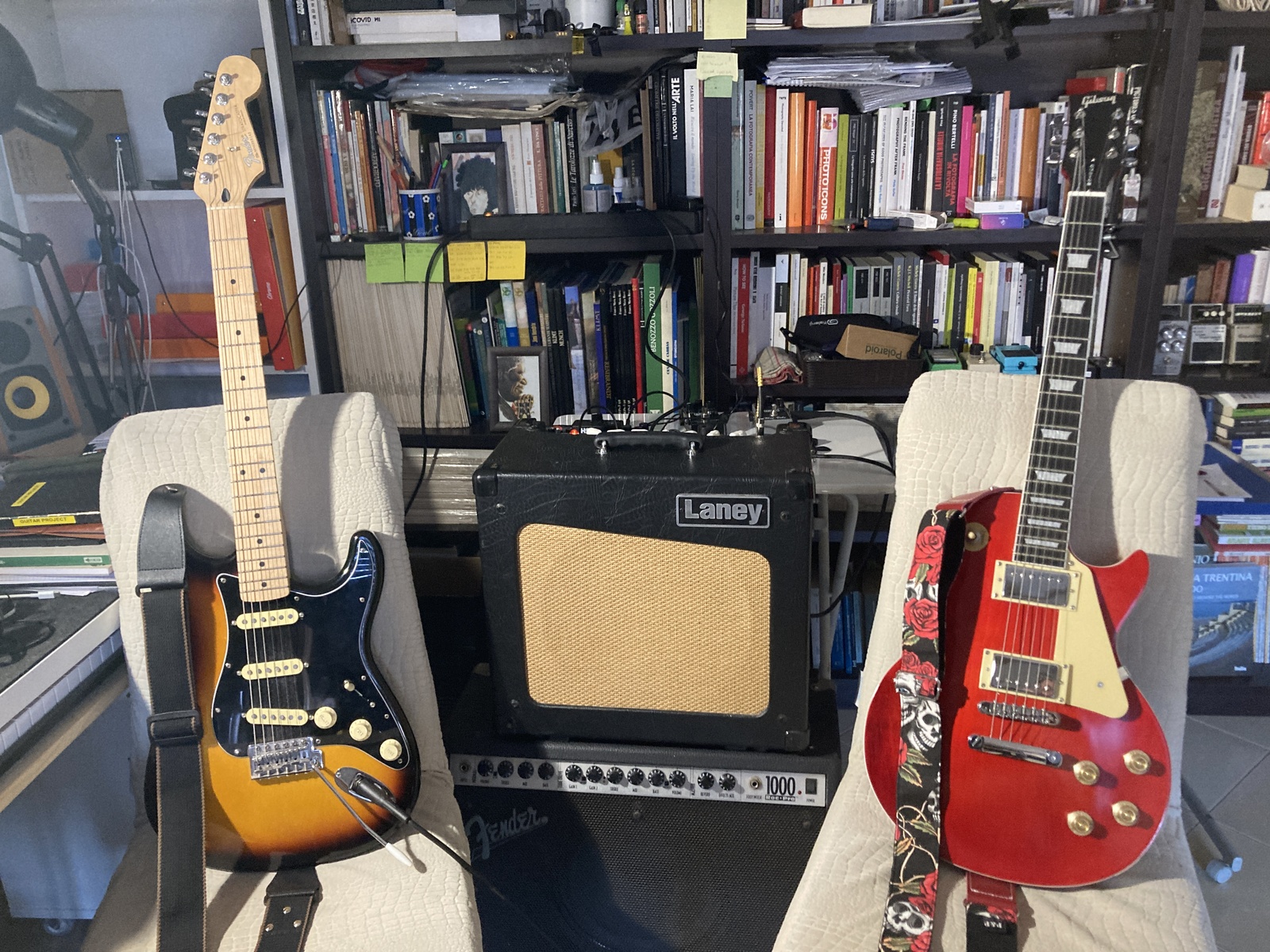 alecani's music gear photo