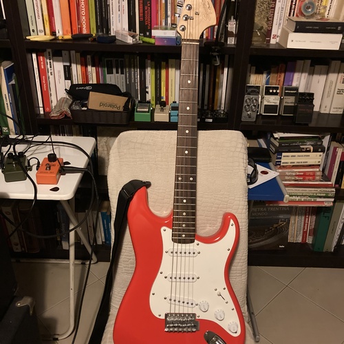 alecani's gear photo