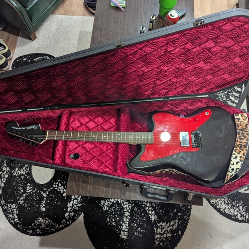 Photo of Coffin Cases and more gear in a guitar