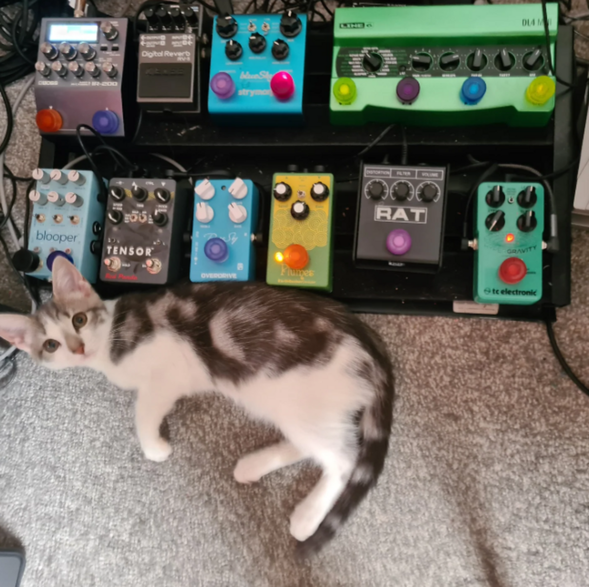 Pedalboard by richiem featuring Boss IR-200 Amp & IR Cabinet, Boss RV-5 Digital Reverb, and Strymon blueSky Reverberator and 7 more pieces of gear