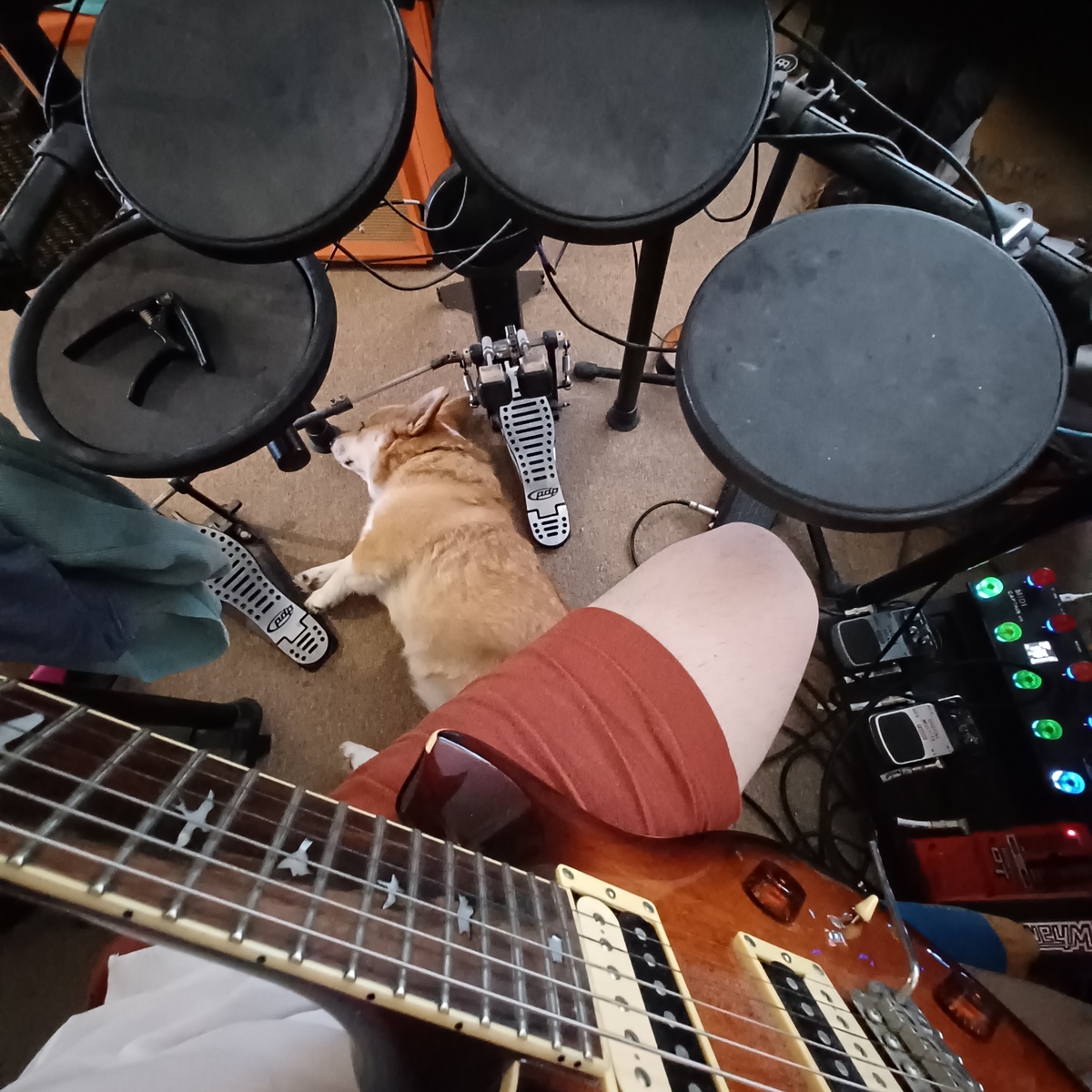 Metal Pedalboard by doxophobia featuring Alesis DM6 USB Electronic Drum Set, PDP by DW DP402 Double Bass Drum Pedal, and MIDI Captain STD Foot Controller and 4 more pieces of gear