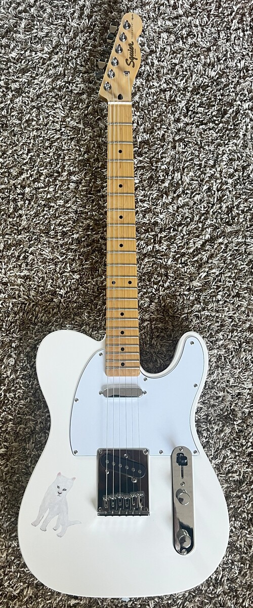 Music Gear Setup by slincz featuring Squier Telecaster