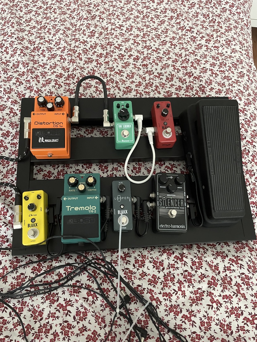 saragrecea's music gear photo