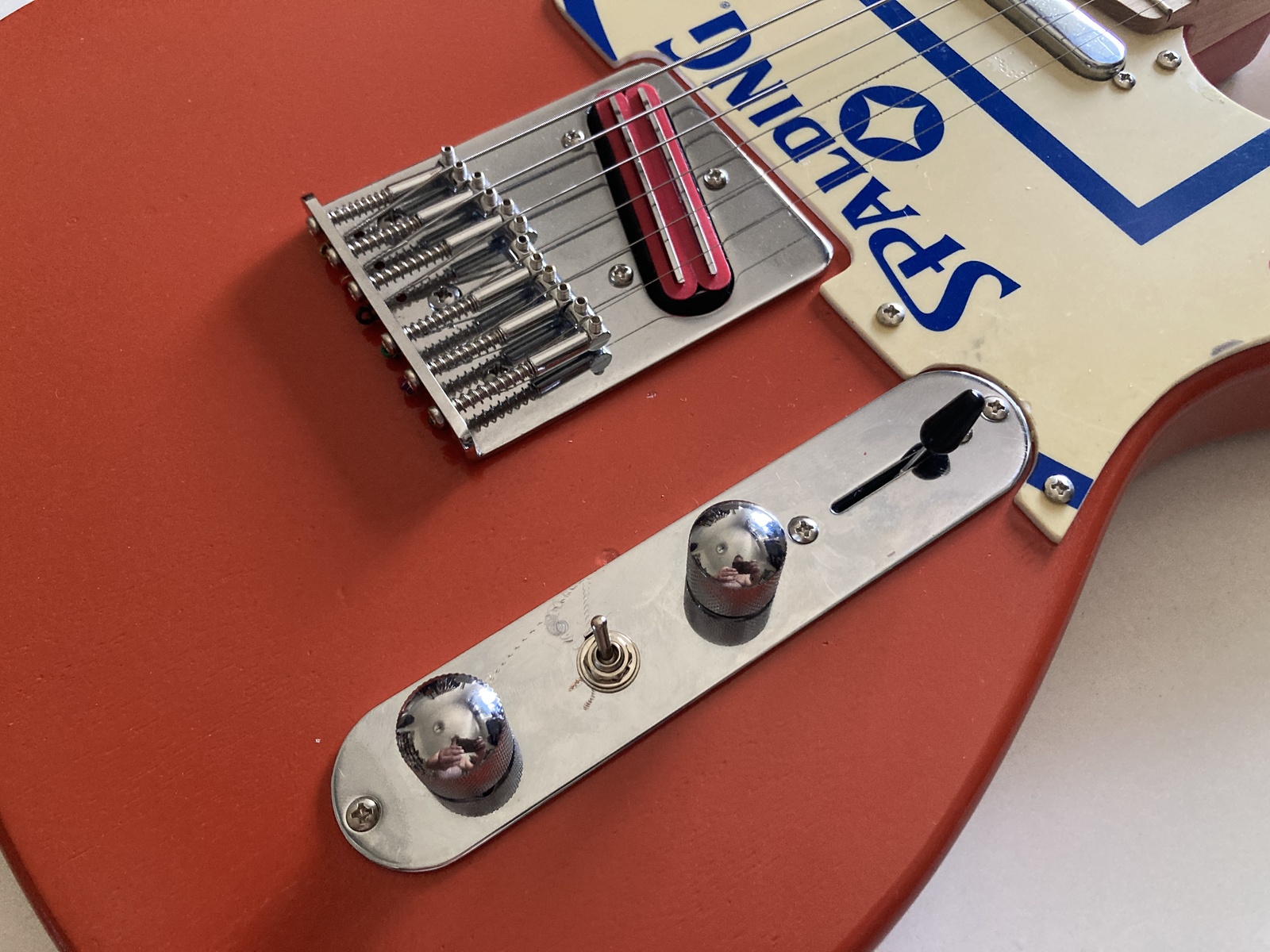 alecani's music gear photo
