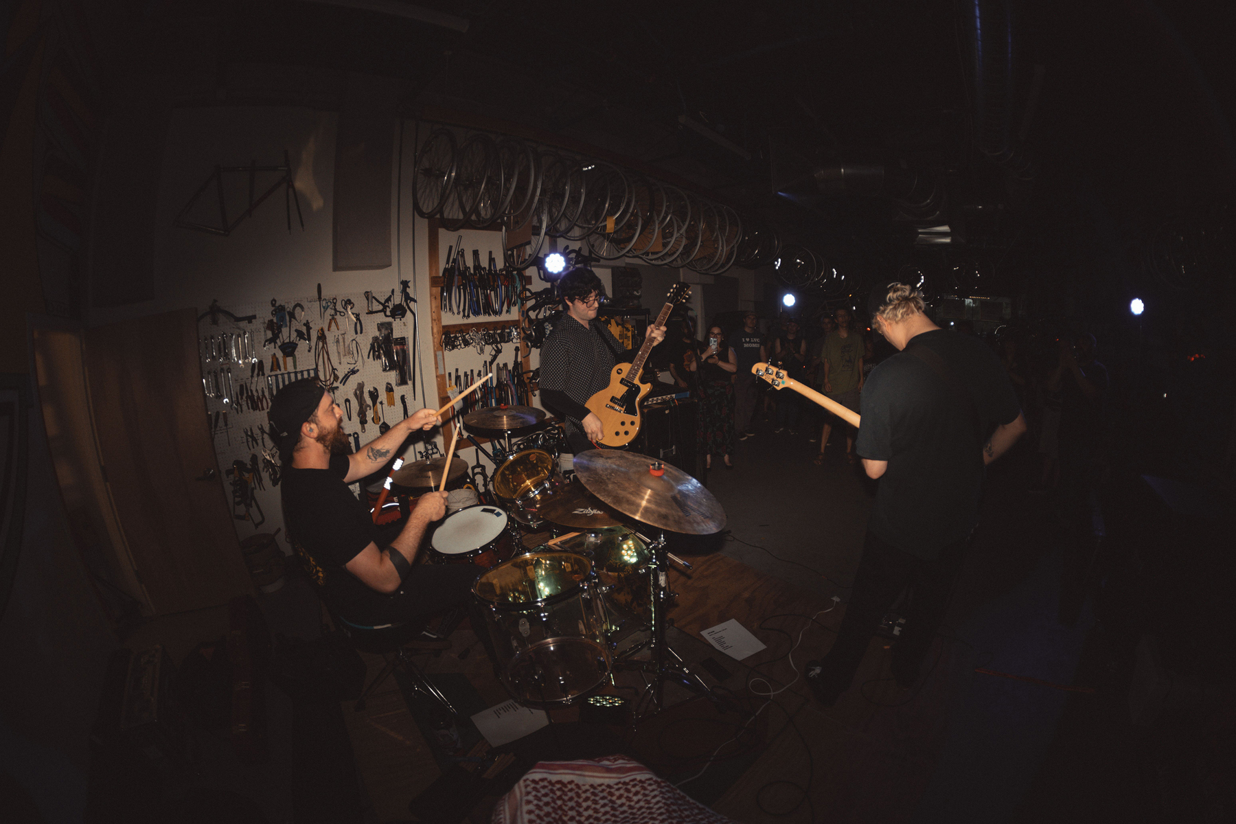 Live Rig by naive_nature featuring Gibson Les Paul Special