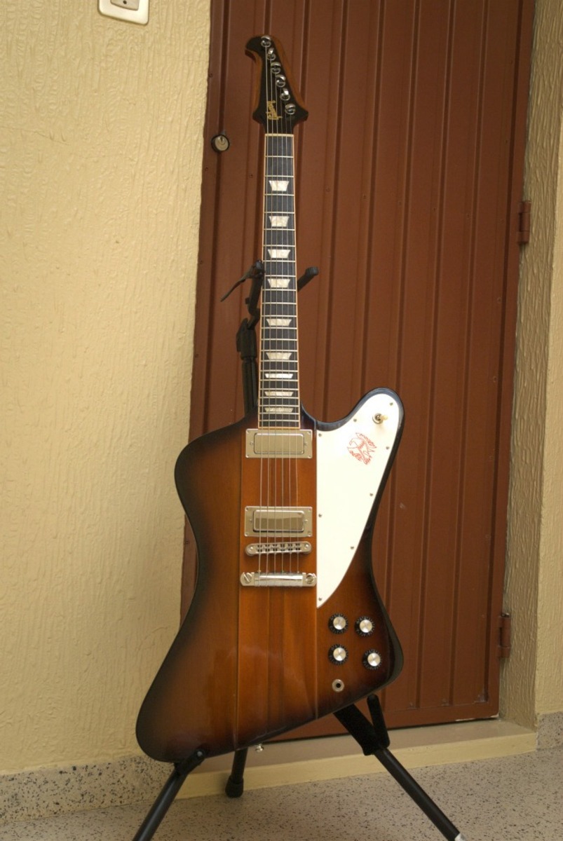 Music Gear Setup by ricardo_jorge_rocha featuring Gibson Firebird Electric Guitar
